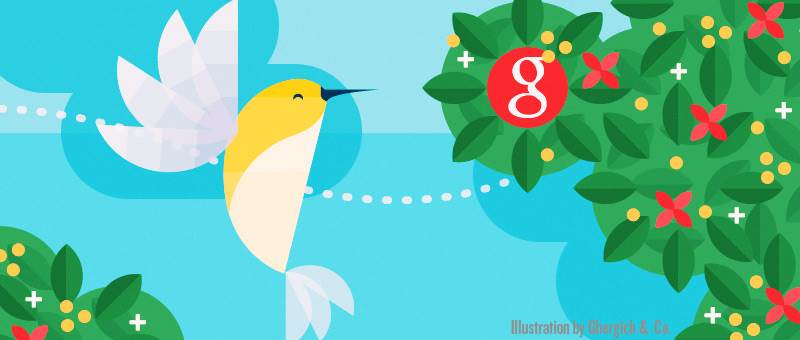 Kolibri Google és a keresőoptmalizálás