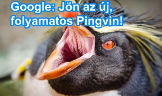 Google új Pingvin algoritmus